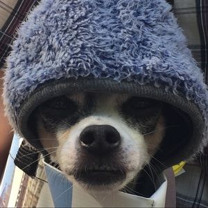 Meet your Posher, Anne